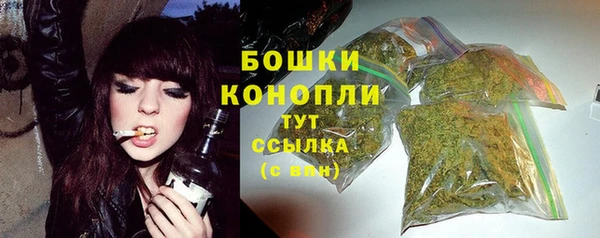 шишки Вязники