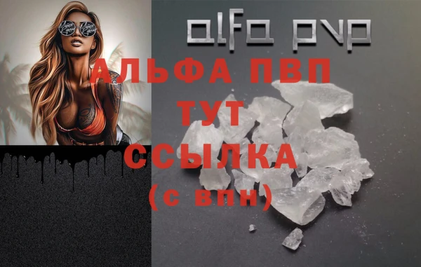 дживик Вяземский